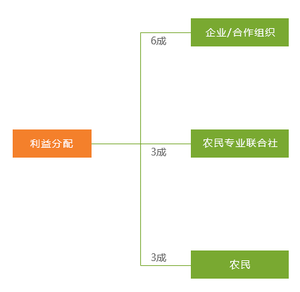 管家婆一码一肖一种大全-现状分析解释落实