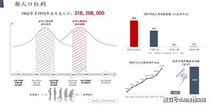 最新的老年人口数据分析，挑战与机遇并存