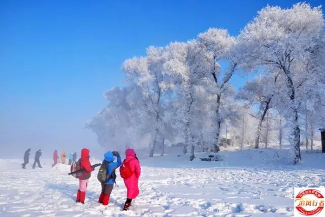 东北雪最新消息，一场冬日盛宴的盛况与变化