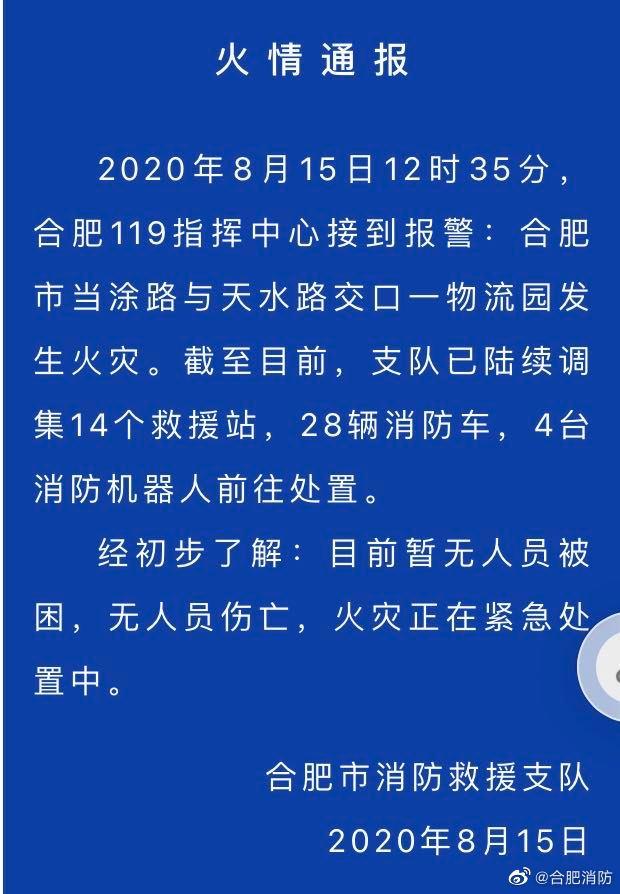 合肥火灾原因的最新消息，深度探究与反思