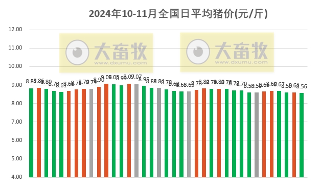 今日猪价最新的报价及市场动态分析