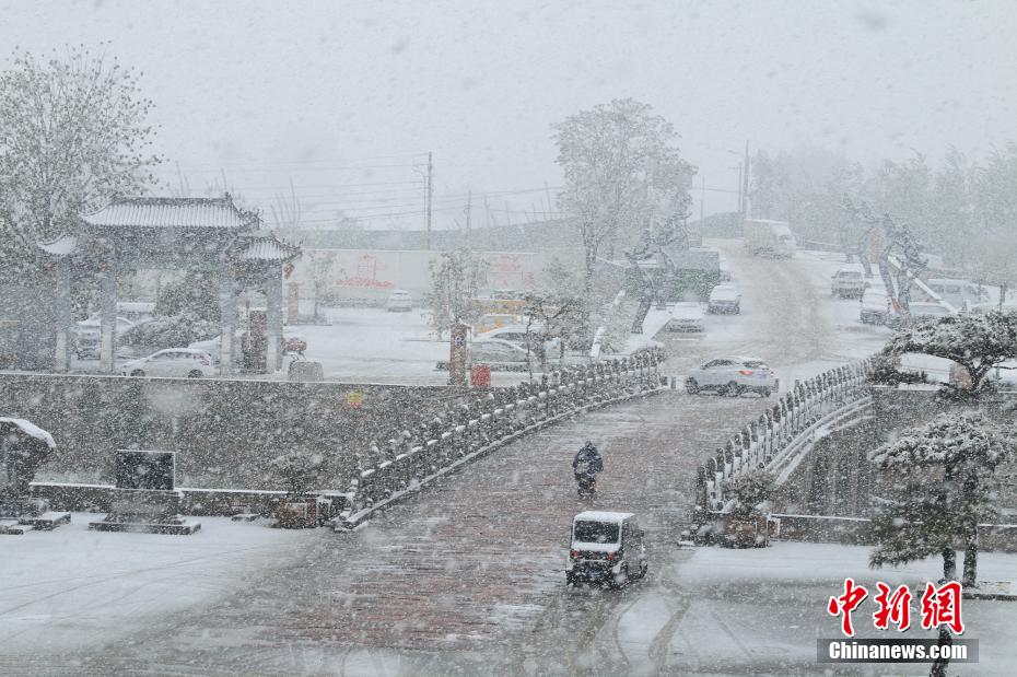 河南多地迎来降雪最新动态