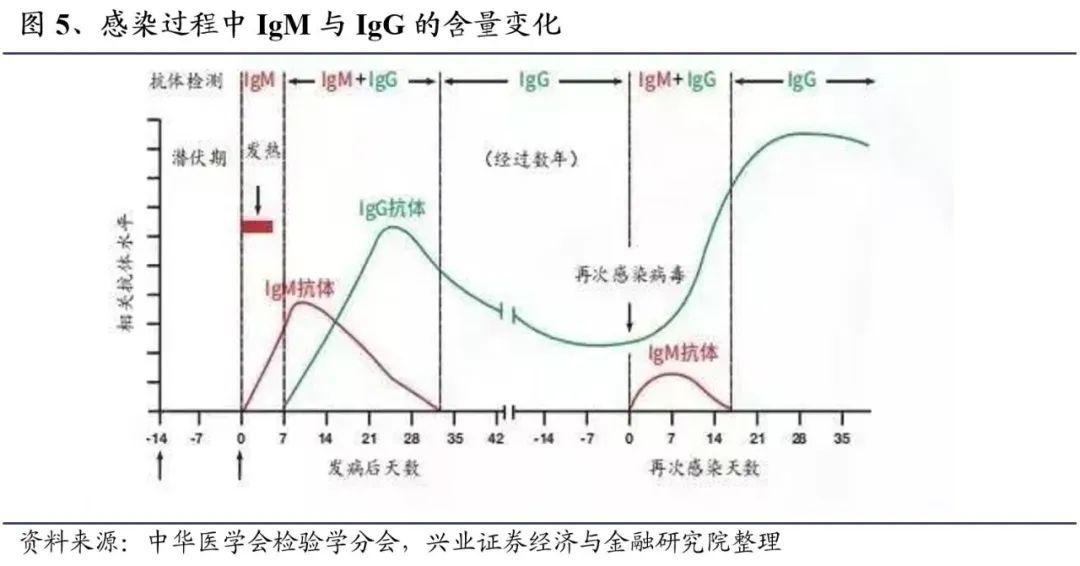 最新发现肺炎病毒的深度解析