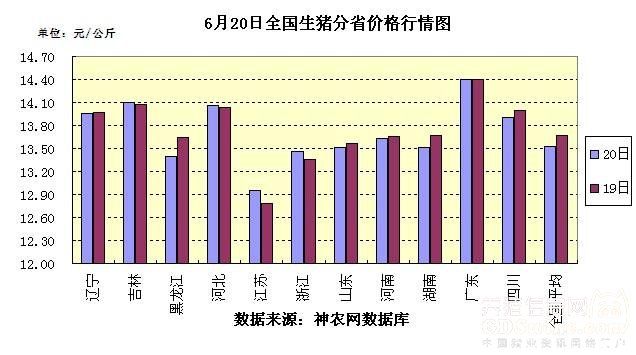 全国猪价最新报价行情分析