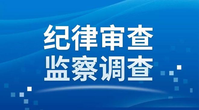 纪律审查最新消息，深化理解，积极应对